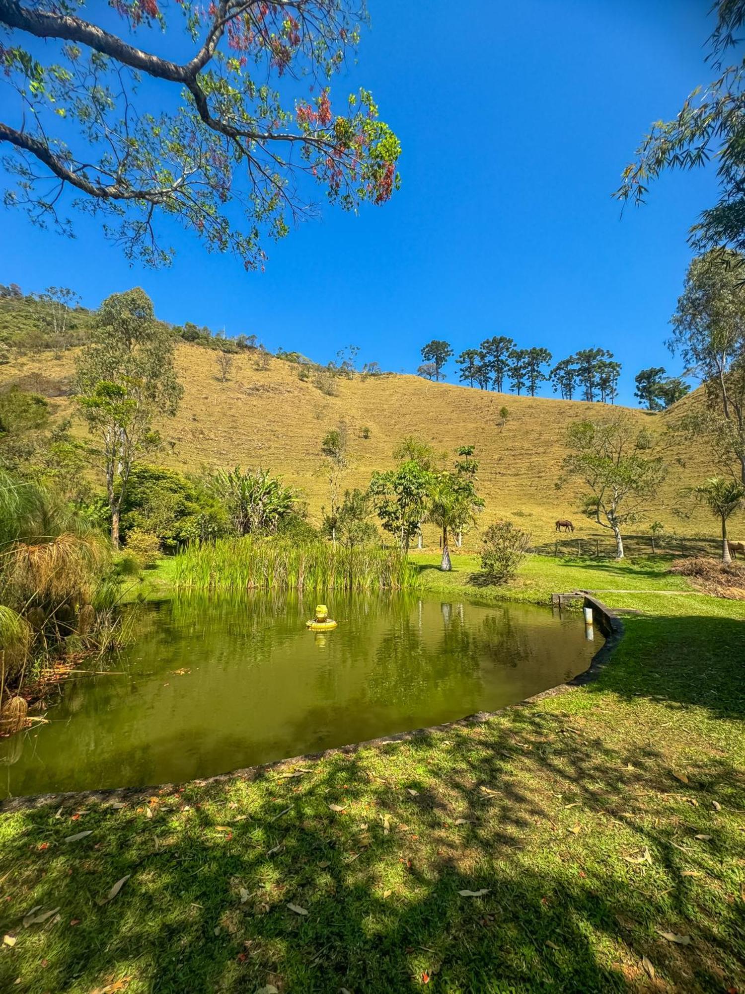 Hotel Pousada Rio Dos Cristais Visconde de Mauá Exteriér fotografie